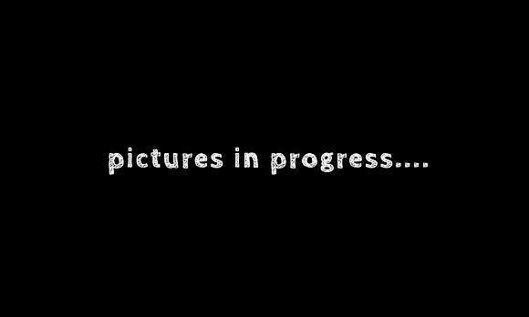 pictures-in-progress