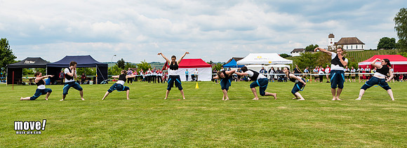 CC15-Stein-070.jpg