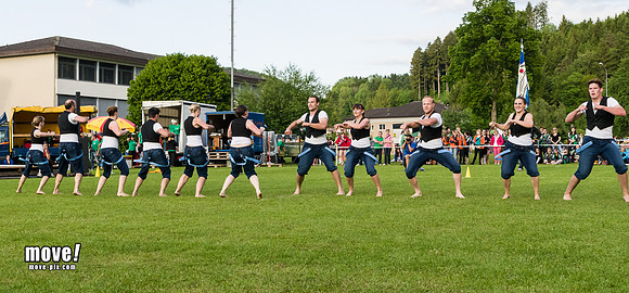 Tannzapfe14-TVStein-224.jpg