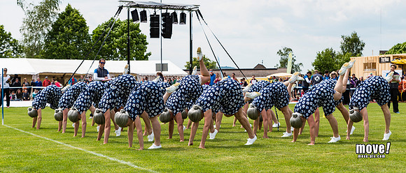 CC15-081.jpg