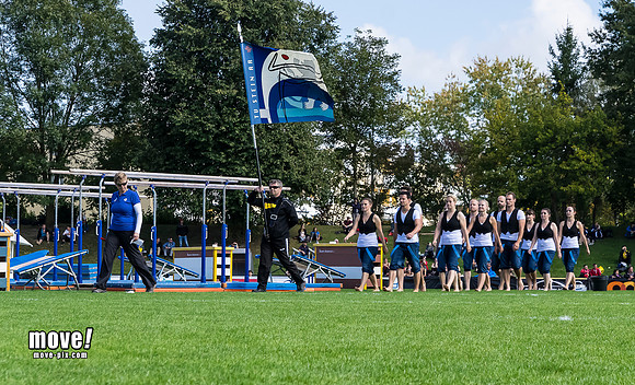 SMV14-TVStein-001.jpg