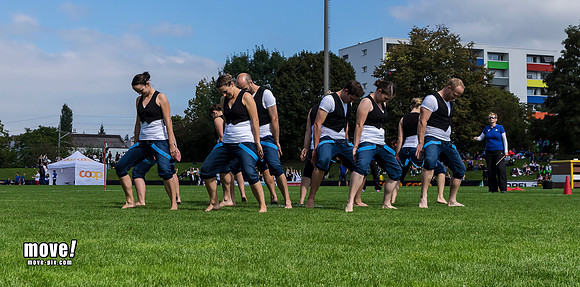 SMV14-TVStein-003.jpg