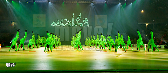 Gymn19-Chamäleon-006.jpg