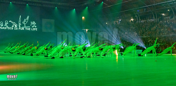 Gymn19-Chamäleon-032.jpg