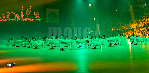 Gymn19-Chamäleon-034.jpg