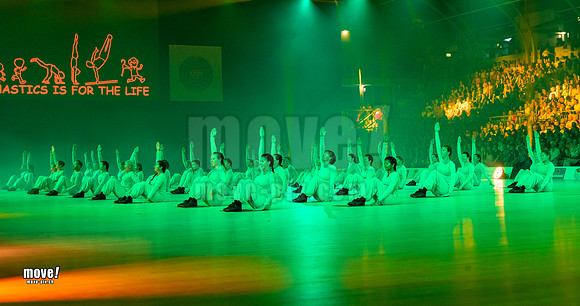 Gymn19-Chamäleon-033.jpg