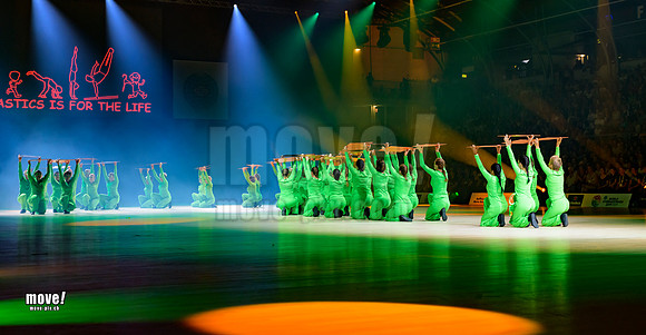 Gymn19-Chamäleon-036.jpg