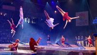 8 Suisse Jumpers